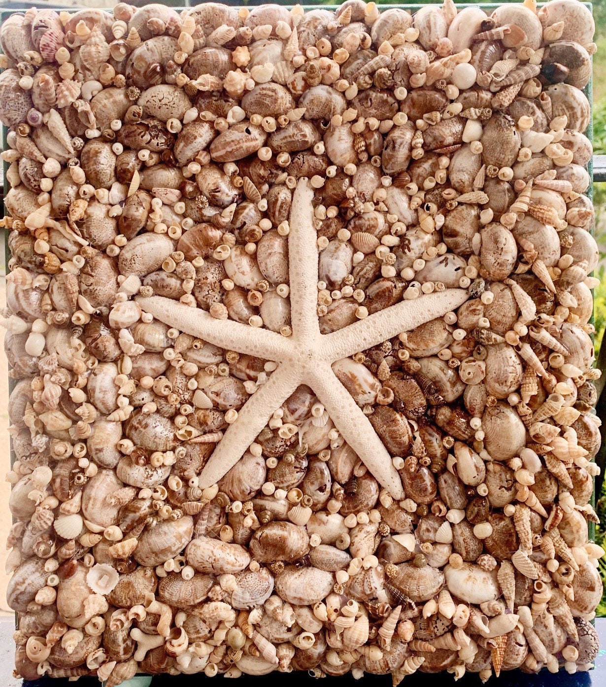 Wooden Wall Art Seashell Shells and Starfish Rhinestones Decoration Beach Theme Wooden Wall Art Seashell Shells and Starfish Rhinestones Decoration Beach Theme