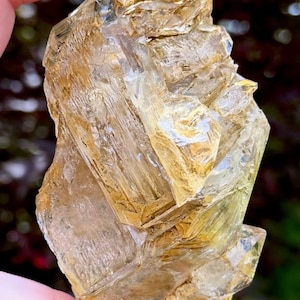May include: A raw, translucent golden-yellow crystal cluster with sharp, angular facets and a complex, layered structure. The mineral exhibits a mix of clear and honey-colored sections with visible internal striations and natural geometric formations.
