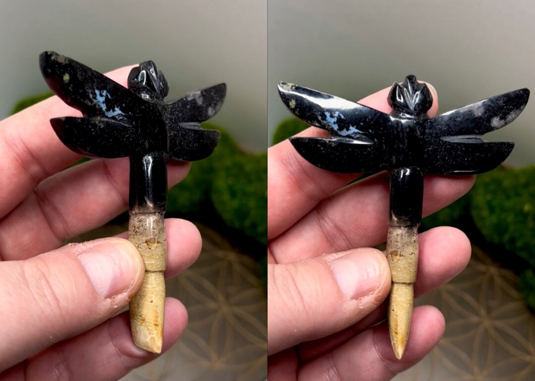 Fossilized Palm Root Dragonfly Carving Etsy