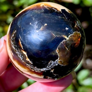 RARE Blue Sumatra Amber Sphere | Genuine | Natural Color | UV Reactive & Semi-translucent | Indonesia | 2.3”