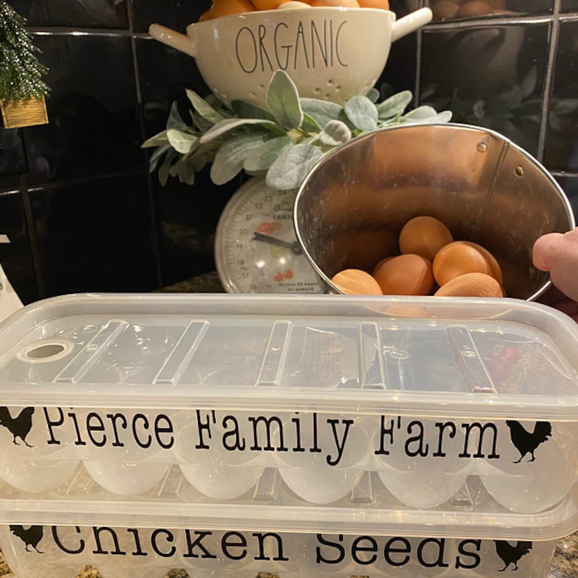 Personalized Egg Cartons Chicken Coop Reusable Custom Egg Etsy