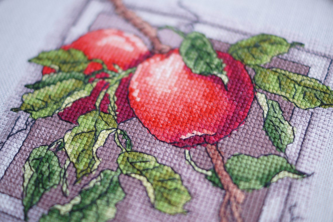 Apples cross stitch pattern pdf embroidery design modern cross Etsy