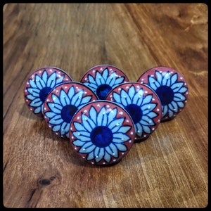 Hand Painted Floral Ceramic Cabinet Knobs: Indian Decor, Set of 10