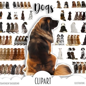 CLIPART DI CANI - Amante dei cani, Cani dei migliori amici, Razze personalizzate, Golden Doodle, Alano, Shiba Inu, Akita, Setter inglese / Regalo perfetto per animali domestici