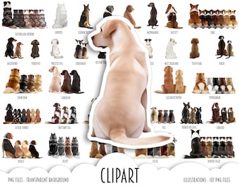 DOGS CLIPART - Australian Shepherd Custom Dogs, Back View - Dog Breeds, Golden Retriever - Puppies illustration Creator