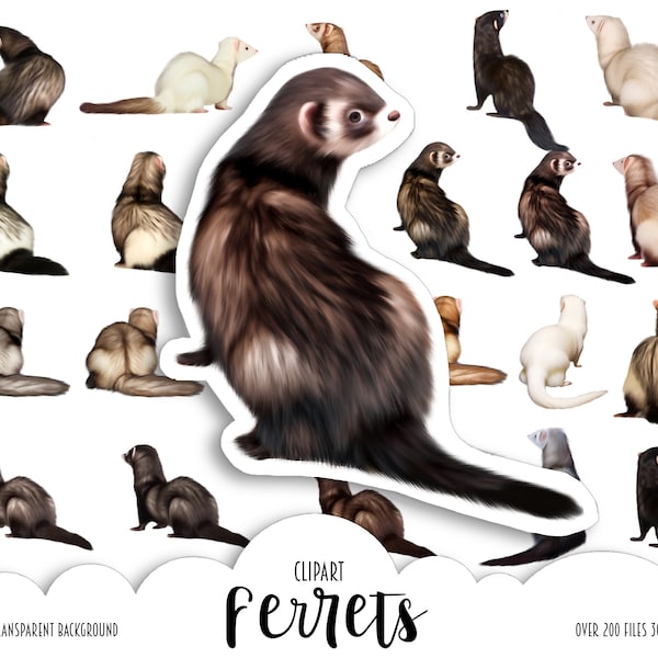 Digital Ferrets Clipart Set - Printable, Cute, and Realistic Animal Illustrations for Backgrounds, Stickers, and More - PNG Files
