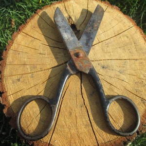 Old scissors, Vintage scissors, Embroidery scissors, Tailor scissors, Paper scissors, Vintage home decor, Craft decor, Rustic scissors