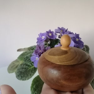 Wooden salt pan, Wooden salt box, Wood bowl with lid, Wooden saltern, Hand carved box, Spices box, Storage box, Salt holder, Wooden box