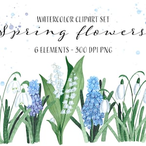 SPRING FLOWERS WATERCOLOR clipart set with hyacinth,snowdrops, lily of the valley illustrations. Fichiers de png botaniques de jardin.
