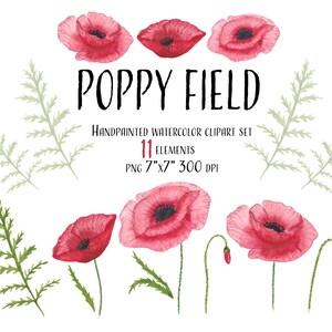 Clipart à l’aquarelle POPPY FIELD avec coquelicots et feuilles. Graphique parfait pour les invitations, scrapbooking, journaling. Téléchargement instantané.