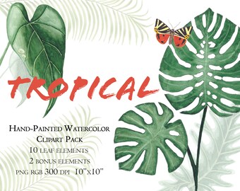 TROPICAL LEAVES watercolor clipart set with monstera, palm, plumeria, hibiscus and begonia leaves. For scrapbooking, journaling and collages
