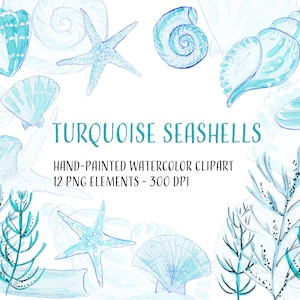 TURQUOISE SEASHELLS acuarela clipart con conchas, algas y estrellas de mar. Archivos png individuales para invitaciones a fiestas marinas y bricolaje.