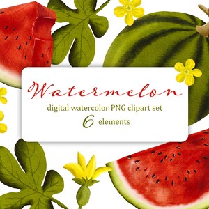 JUICY WATERMELON aquarelle numérique clipart set de fruits d’été sucrés. Fichiers png individuels pour le scrapbooking, les cartes, les invitations, les projets.