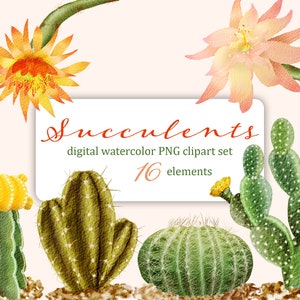 SUCCULENTS aquarelle numérique clipart ensemble de cactus et de fleurs entremêlables. Fichiers png individuels pour les cartes, les invitations et les projets.