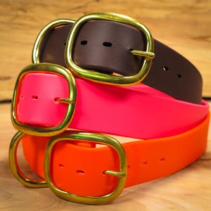 Waterproof 1.5” Wide Dog Collar with Solid Brass Hardware