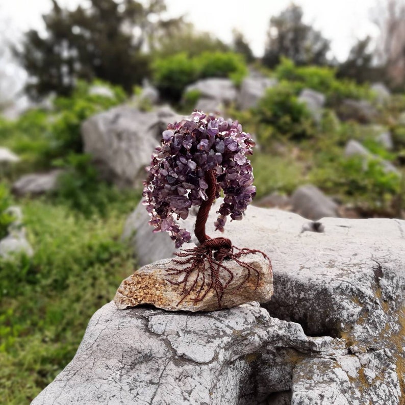 crystal tree amethyst