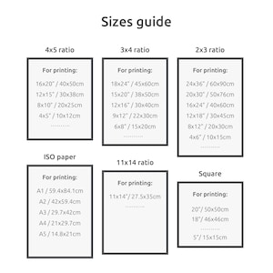 May include: A chart with a guide to different print sizes for photos. The chart includes 4x5, 3x4, 2x3, 11x14, and square ratios. The sizes are listed in inches and centimeters.