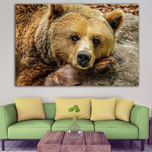 Bear Resting canvas art Wild Nature Painting Grizzly Photo Print Animal Modern print Big Predator art Original Art Room Bear Modern Painting