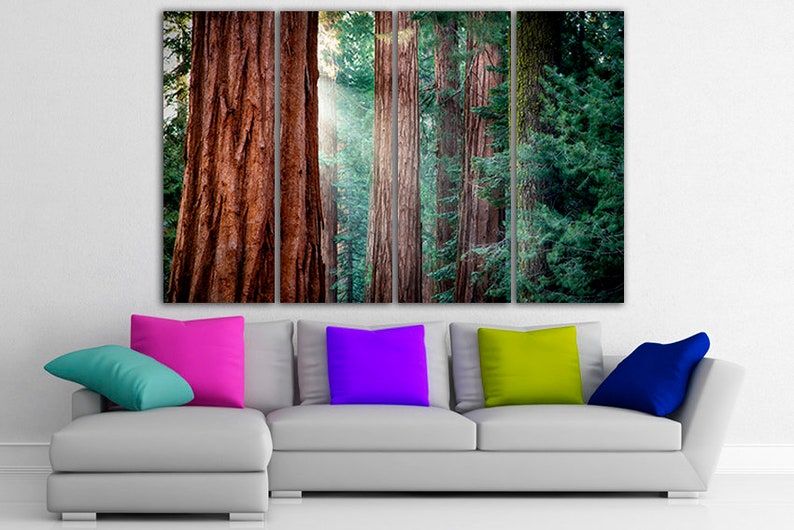 Redwood Forest Wall Art Canvas Tree Print Nature Home Art Etsy