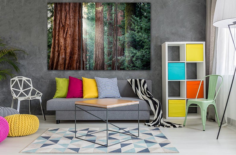 Redwood Forest Wall Art Canvas Tree Print Nature Home Art Etsy