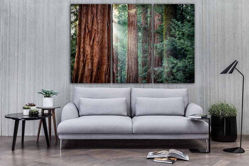 Redwood Forest Wall Art Canvas Tree Print Nature Home Art Etsy