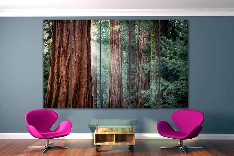 Redwood Forest Wall Art Canvas Tree Print Nature Home Art Etsy
