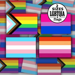 LGBTQ Pride Flag Stickers: Choose Your Pride Flag, Lesbian, Bisexual, Transgender, Non Binary, Decal for Laptop Bottle Phone S157
