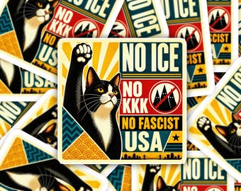 Pegatina "No ICE, no KKK, no fascismo en EE. UU.": Calcomanía sobre los derechos de los inmigrantes para computadora portátil, botella de agua o teléfono (S22)