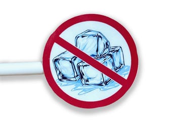 No ICE Sticker: Immigrant Rights Water Resistant Decal For Laptop/Water Bottle/Phone S61