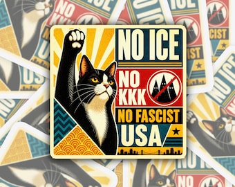 No ICE No KKK No Fascist USA Sticker: Immigrant Rights Decal For Laptop/Water Bottle/Phone S22
