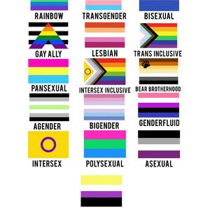 May include: A graphic featuring various pride flags, each representing different identities. Flags include rainbow, transgender, bisexual, gay ally, lesbian, trans inclusive, pansexual, intersex inclusive, bear brotherhood, agender, bigender, genderfluid, intersex, polysexual, asexual, and gender non-binary.