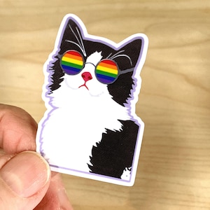 May include: A sticker featuring a black and white cat wearing rainbow-colored sunglasses. The cat has a pink nose and is outlined in purple. The sticker is held by a hand.