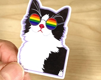 Tuxedo Cat Sticker With Rainbow Glasses All LGBTQ Flags Available Great For Laptops Bottles Phones  S9