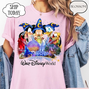 May include: Pink t-shirt featuring Mickey Mouse, Goofy, Donald Duck, and Pluto with a Walt Disney World graphic. The design includes a castle, a sphere, and stars. The shirt has the text "Walt Disney World".