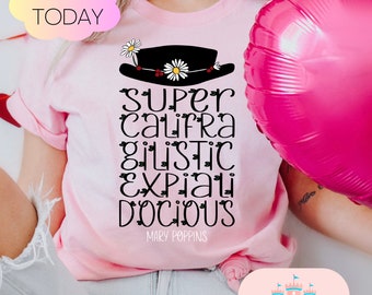 Mary Poppins Inspired Shirt/Matching Women Gifts/Teacher Gift Shirt/ Mother Mary Poppins Shirt/Practically Perfect in Every Way Disney Shirt