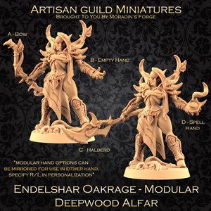 Könnte beinhalten: Eine Miniaturfigur einer weiblichen Elfenkriegerin mit der Wahl aus vier verschiedenen Handhaltungen: Bogen, leere Hand, Hellebarde und Zauberhand. Die Figur ist aus hellbraunem Kunststoff gefertigt und steht auf einem Sockel. Der Text "Endelsahar Oakrage - Modular Deepwood Alfar" ist unter der Figur gedruckt.