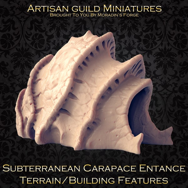 Subterranean Carapace Entrance (Prop, Terrain, Building) - 3D Printed Role Playing Miniature