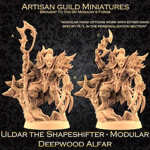Uldar the Shapeshifter (Elf, Drow, Druid, Ranger) - 3D Printed Role Playing Miniature