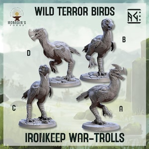 Op de afbeelding: Vier grijze Wild Terror Birds-beeldjes, gelabeld A, B, C en D, worden getoond. De beeldjes zijn gedetailleerd met getextureerde veren en staan op kleine, ronde voetstukken. De tekst "Wild Terror Birds" en "Ironkeep War-Trolls" is zichtbaar.