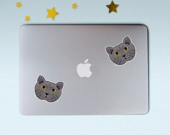 BRITISH SHORTHAIR CAT sticker (1) | Grey cat | Weatherproof | Laptop sticker | Water bottle sticker | Cat sticker