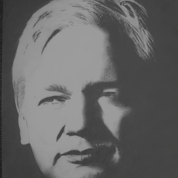 Julian Assange Original Graphite Photorealistic Portrait