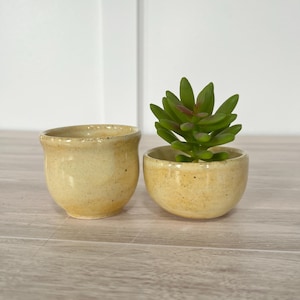 May include: Two small, round, speckled, yellow ceramic bowls. One bowl is empty, and the other contains a green succulent plant with red tips. The bowls are on a light wood-grain surface, with a white wall in the background.