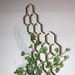 see more listings in the Plant Trellis  section