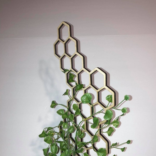 1/4 inch thick | 17'' 7'' 10''  | Plant Trellis | FAST SHIPPING | Honeycomb Houseplant Trellis | Indoor Garden Trellis  | Insured Shipping