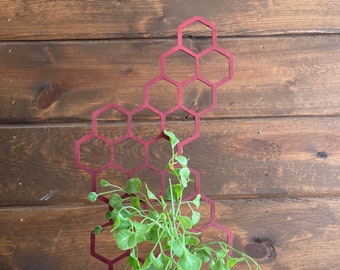 7'' 10'' 17'' | Plant Trellis | Stained |  Clearcoat |  Honeycomb Houseplant Trellis | Indoor Garden Trellis |  | Insured Shipping