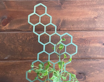 10'' 7'' 17'' | Plant Trellis | Stain Finish | Clearcoat |  Honeycomb Houseplant Trellis | Indoor Garden Trellis  | Insured Shipping