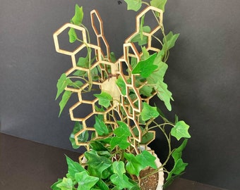 3D Plant Trellis | FAST SHIPPING | Honeycomb Houseplant Trellis | Indoor Garden Trellis | Plant Lover Gift | Insured Shipping