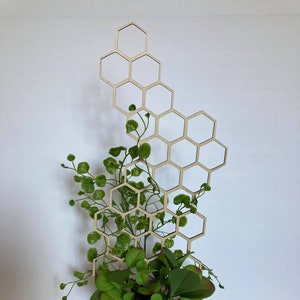17'' 7'' 10'' Plant Trellis 1/4 Inch Thick Stain Finish Clearcoat Honeycomb Houseplant Trellis Indoor Garden Trellis Insured Shipping image 5