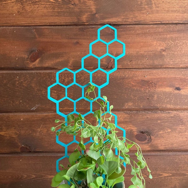 17'' 7'' 10''| Plant Trellis| 1/4 Inch Thick| Stain Finish| Clearcoat Honeycomb| Houseplant Trellis| Indoor Garden Trellis| Insured Shipping