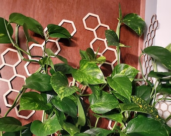 Wood Honeycomb Hanging Plant Trellis